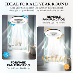 Cannonx 14 Low Profile Ceiling Fans with Lights and Remote, Modern Fandelier Ceiling Fan with Light, 6 Speeds, 3 Lighting Modes 3500K - 5500K, Flush Mount for Bedroom, LED 2200 Lumens