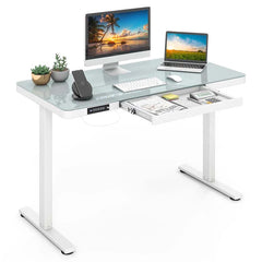 48" x 24" Electric Standing Desk with Drawer, Tempered Glass Top, Memory Positions & USB Type-C Outlets, Sit Stand Desk for Home Office - Black