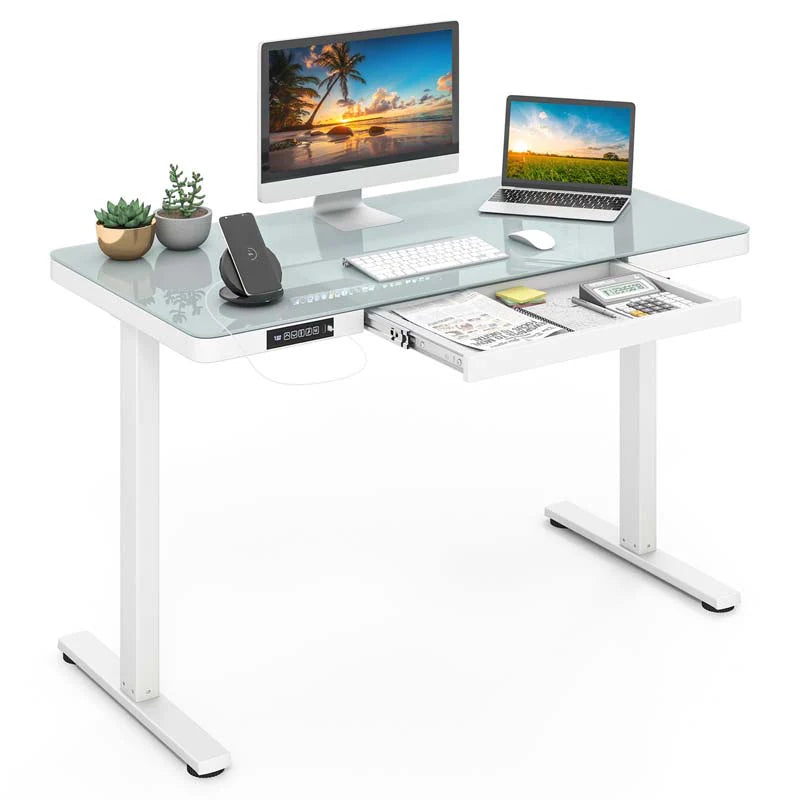 48" x 24" Electric Standing Desk with Drawer, Tempered Glass Top, Memory Positions & USB Type-C Outlets, Sit Stand Desk for Home Office - Black